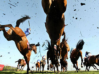 Need betting tips for Ascot?